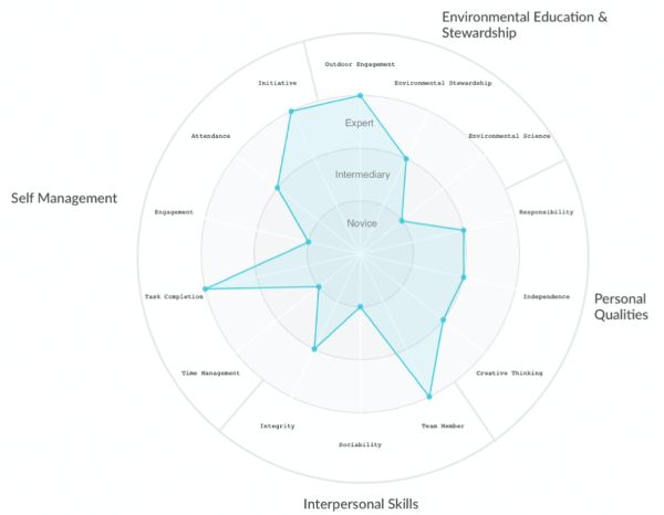 Crosstown Radial chart