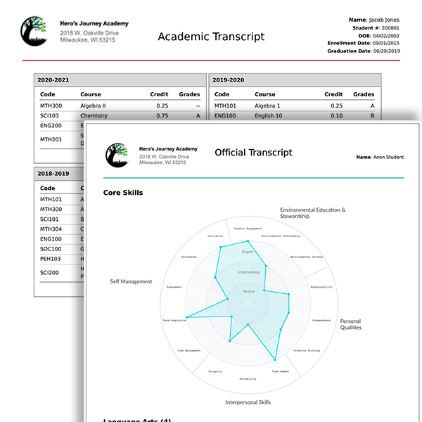 Stacked reports including transcript and radial chart